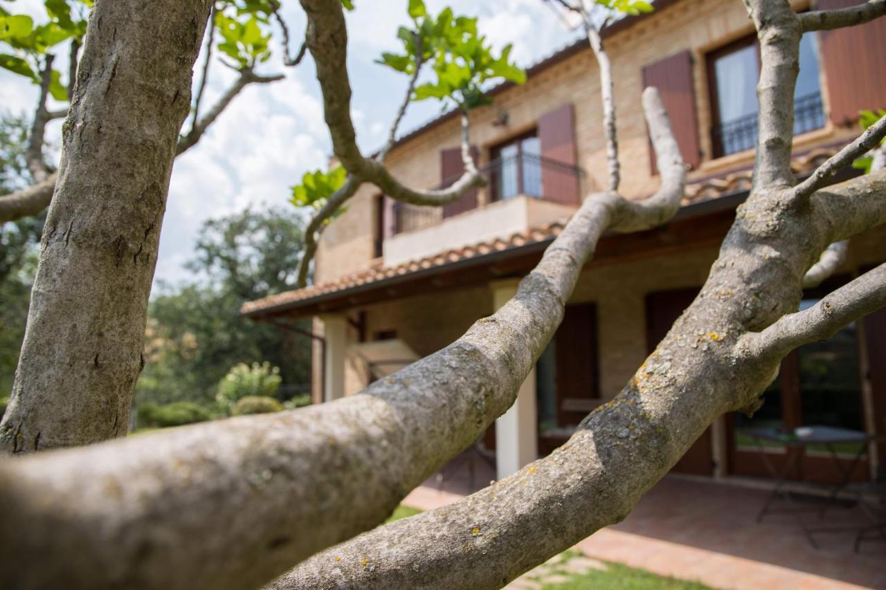 Casa Di Mi Bed & Breakfast Serrungarina Ngoại thất bức ảnh